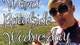 Art On A North Texas Farm