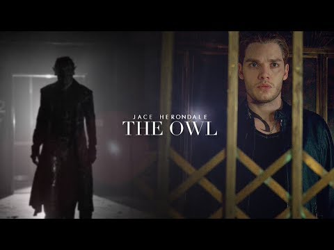 Jace Herondale ➰ The Owl