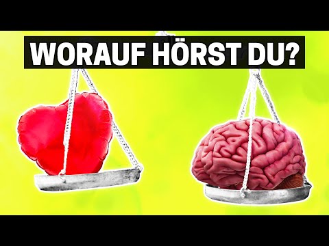 Steckst du in der kognitiven Dissonanz Falle? (komm da unbedingt raus!)