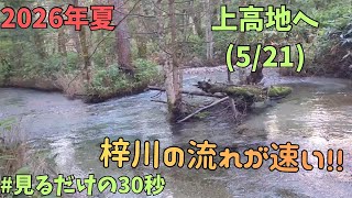 上高地散策2026.8.13(5/21) 散策路「梓川コース」にて