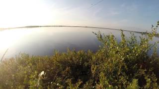 Рыбалка на озёрах и реках