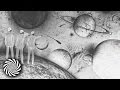 Sesto Sento - No Music No Life 