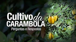 Miniatura do vídeo