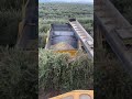 Olive harvesting | Agricultural Machine