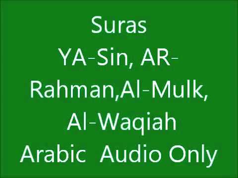 Download 82+ Contoh Surat Al Mulk Pengusir Jin Terbaik Gratis Download 82+ Contoh Surat Al Mulk Pengusir Jin Terbaik Gratis