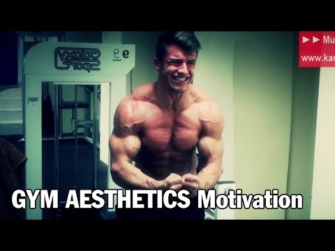 GYM AESTHETICS [Contest] Bodybuilding Motivation #01 - Fitness Motivation - KARL-ESS.COM
