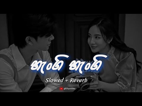 Hangi Hangi Ebikam Kala | හැංගි හැංගී එබිකම් කළා | Slowed + Reverb