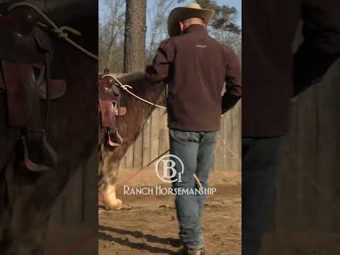 Hey, nobody's perfect.  🤦  #b1 #horsetraining