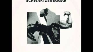 Schwartzeneggar - Goodbye To All That