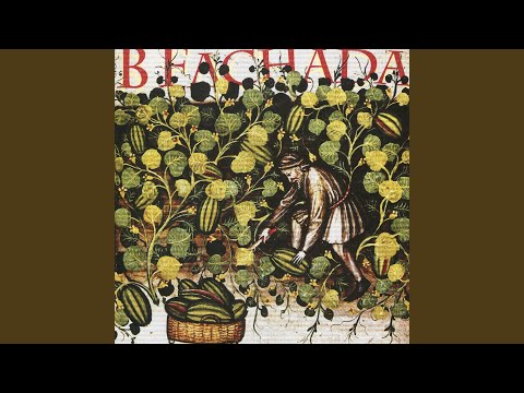 Estar A Espera Ou Procurar - B Fachada