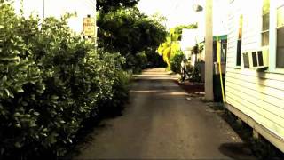 DAVID MEAD Key West Early Morning Dream, August 28