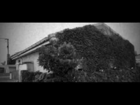 [중디 월드뮤직] 더럭리 / Silenzio d'amuri - Alfio Antico