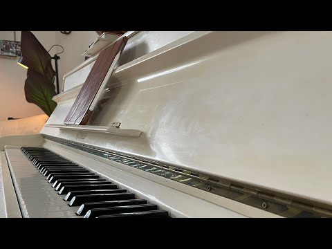 Opwekking 829 Wij zoeken U