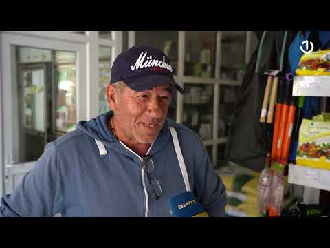 Invazija smrdibuba: Azijske stjenice preplavile domove i polja u BiH