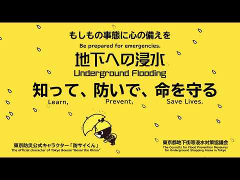 地下プールを空にする 水中ポンプを使用する 循環ポンプの損傷