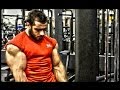 Epic Biceps Assault - Lorenzo B