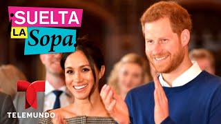 El Príncipe Harry y Meghan Markle eligen flores para el matrimonio | Suelta La Sopa