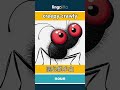 creepy-crawly - 恶心的小虫 video thumbnail