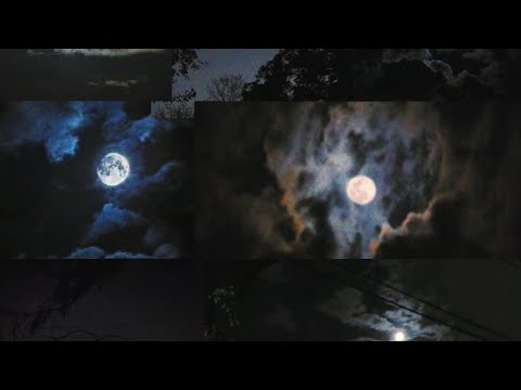 SplickEm - 7 Nights ft. BabyReeseBugg (prod. Jean Parker)