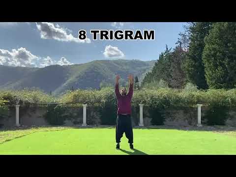 Release Toxins & Excess Emotions | 8 Trigram Qigong 💫🙏