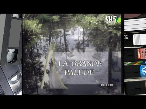 GEO, viaggio nel pianeta Terra - LA GRANDE PALUDE