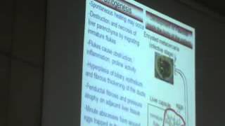 Dr Azza 1 23 10 2014   YouTube