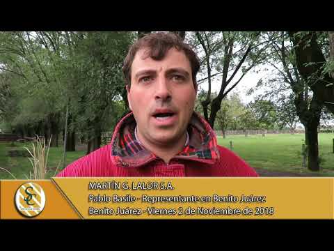 02-11-18 Nota Pablo Basile - Representante en B. Juarez - Martin G. Lalor S.A. - Benito Juárez