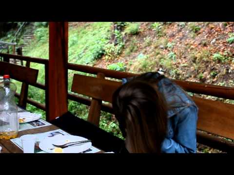 Izjava dana | 17.09.2012