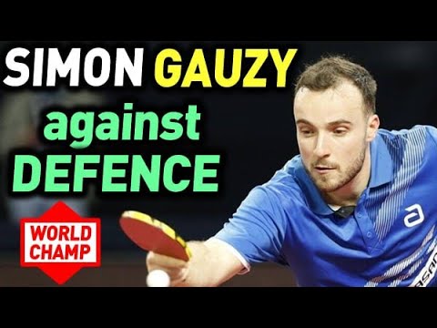 GAUZY SIMON - WANG YANG match best points