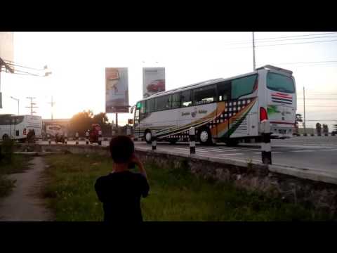 Narashansa lepas kudus