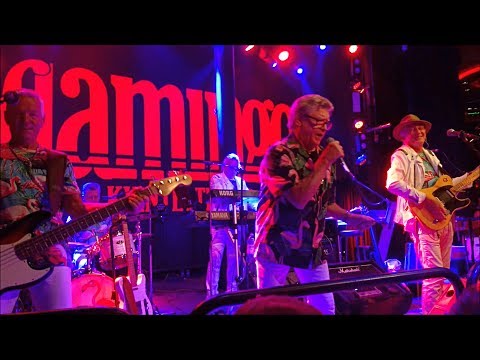 Flamingokvintetten - filmklipp från 2014 till 2018 - maj 2020