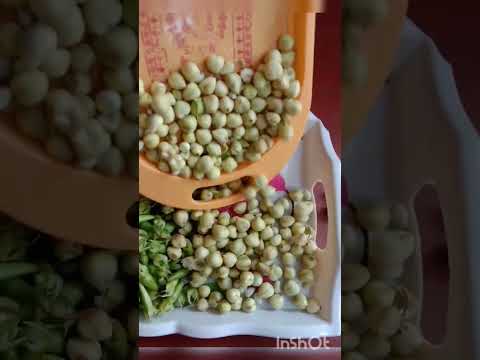 Do You Known This Fruit ?😱 | Comment Me #unstoppable#shorts#ytshorts#viral#ummeumama#fruitcutting#ad