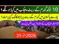 Today gundam rates updates in punjab pakistan 2026//wheat rate today 