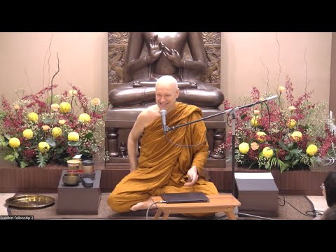 Near Death Experiences in the Context of Dependent Origination by Ajahn Brahmali - 20250509