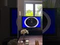 I KILLED NUMBERBLOCKS THEME SONG