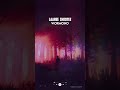 Laaree Chootee Wormono Indian Lofi Vibes Lofi Edits