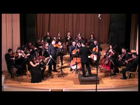 K.D.V. Dittersdorf (allegro-andantino) - Sinfonia Concertante (part 1)