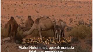 Download lagu 📖 Tadabbur Surat Al-Ghasyiyah ayat 17-19 - @tadabburdaily mp3 Download lagu 📖 Tadabbur Surat Al-Ghasyiyah ayat 17-19 - @tadabburdaily mp3