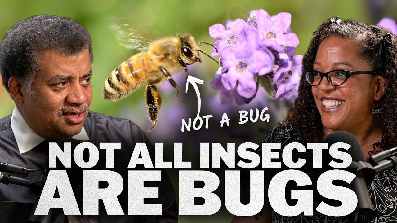 It’s A Bug’s Life, We’re Just Living In It, with Jessica Ware