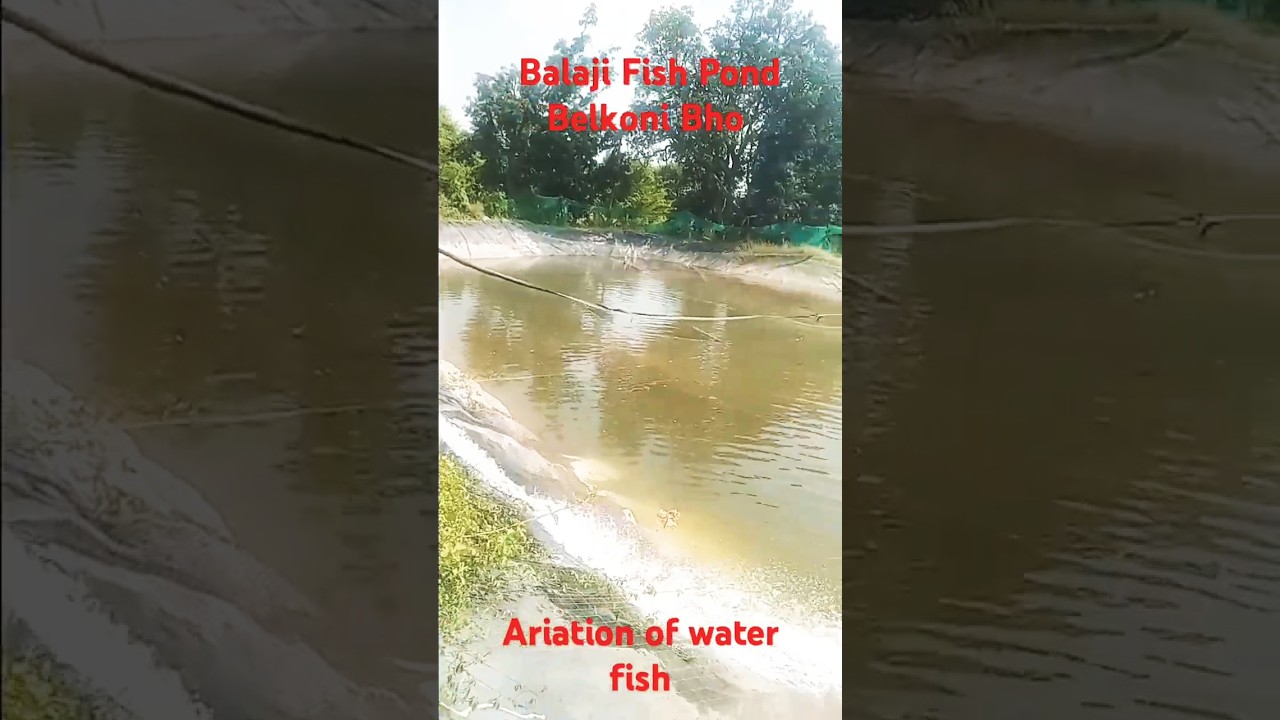 Ariatin of water for fish#shortsfeed ##fish #fishpond #fishpond #shortvideo