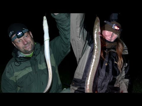 Matze Koch: Eels in Spring - Matze's Antics 06-2017