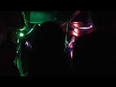 cats millionaire humans are terrifying (live)