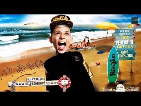 Mc Pedrinho Hit do Verão ( audio oficial )