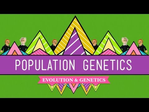 , title : 'Population Genetics: When Darwin Met Mendel - Crash Course Biology #18'