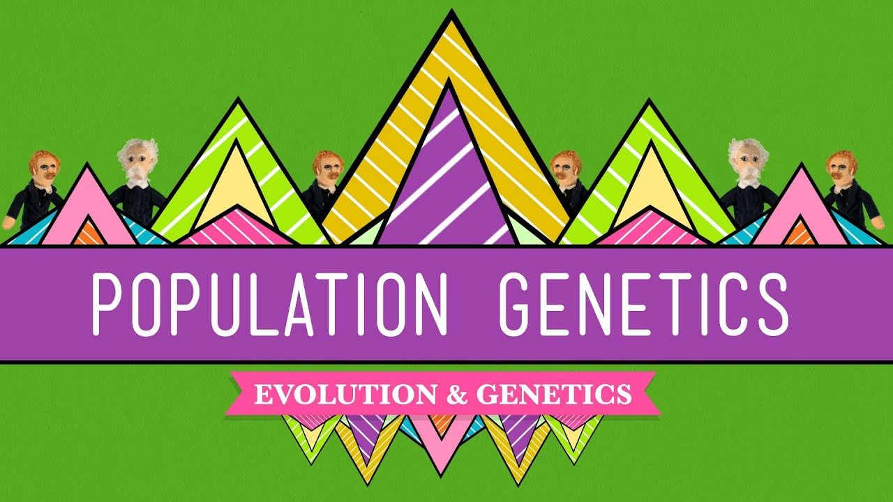 Population Genetics: When Darwin Met Mendel - Crash Course Biology #18