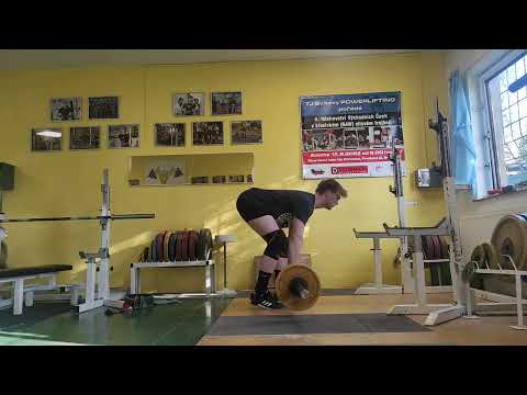 Spring bulk day 6- hamstrings and triceps