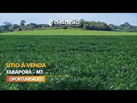 Sítio á venda em Tabaporã - Mato Grosso