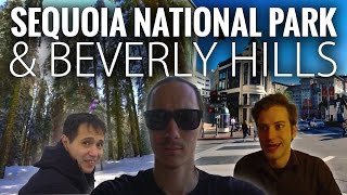 Sequoia National Park and Beverly Hills in 4K | California Roadtrip