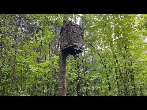 Not Your Average Two-Man Ladder Stand