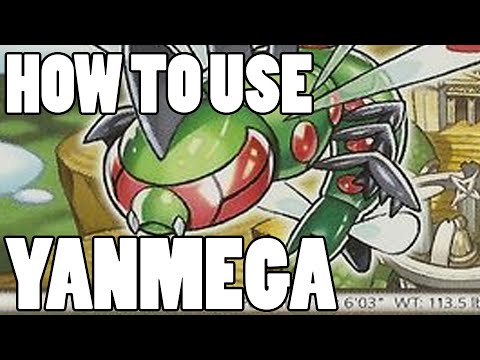 How To Use: Yanmega! Yanmega Strategy Guide ORAS / XY - Speed Boost OP